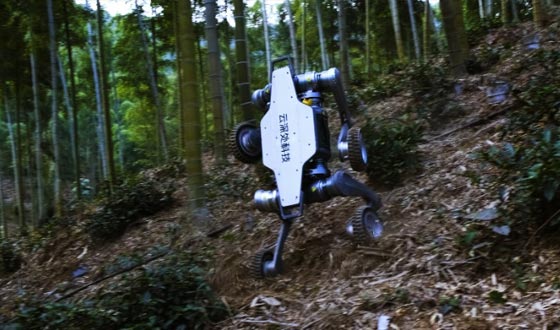 公海5500贵宾会山猫